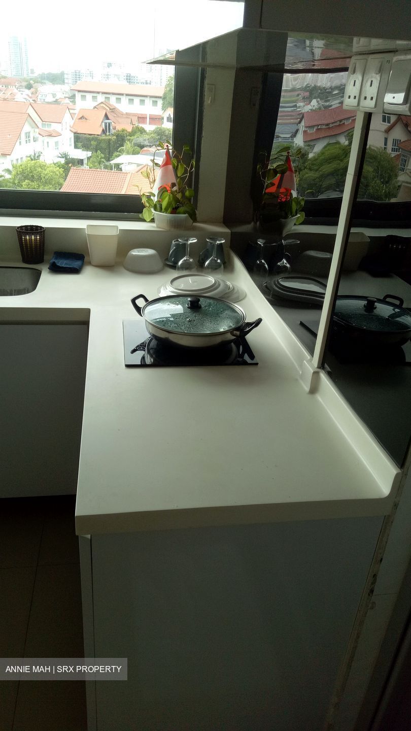 WOLSKEL ROAD (D13), Terrace #502511091